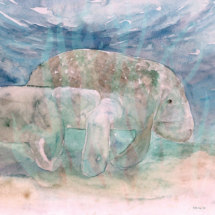 Picture of MOTHER MANATEE AND CALF  