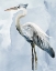 Picture of HERON 4