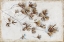 Picture of GOLDEN PINE BRACHES I 