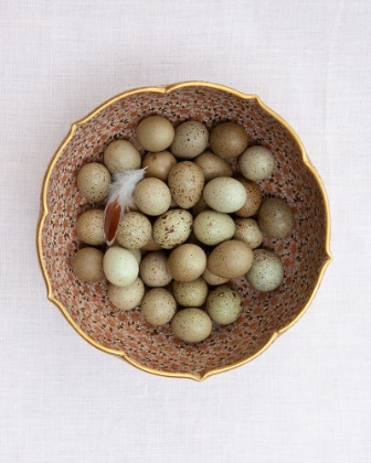 Picture of QUAIL EGGS ON PINK PLATE