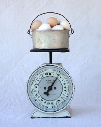 Picture of EGGS ON SCALE