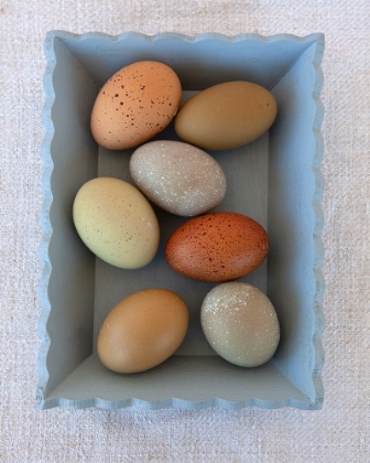 Picture of RAINBOW EGGS IN BLUE BOX