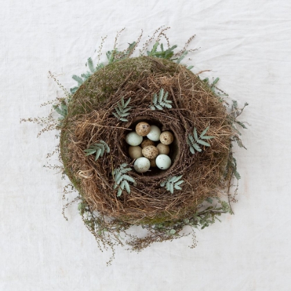 Picture of WINTER NEST