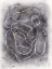 Picture of PELL MELL II