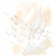Picture of SUBTLE STRIKE IX