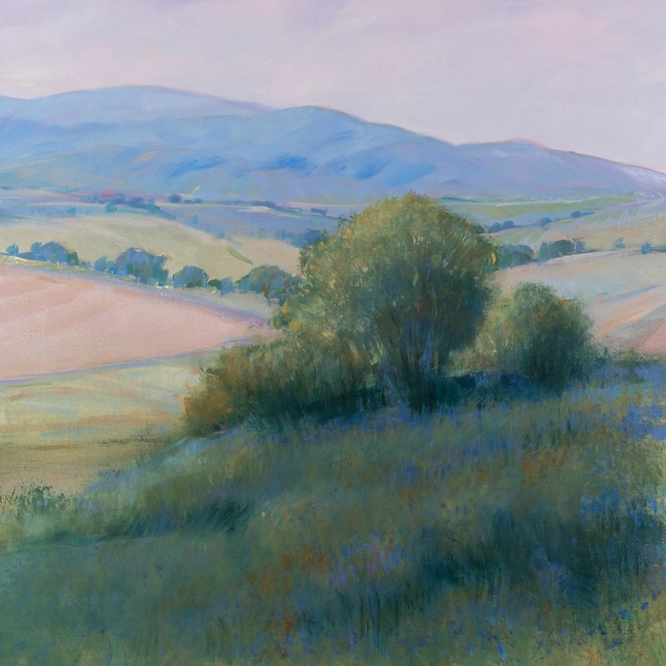 Picture of LAVENDER HILLSIDE II