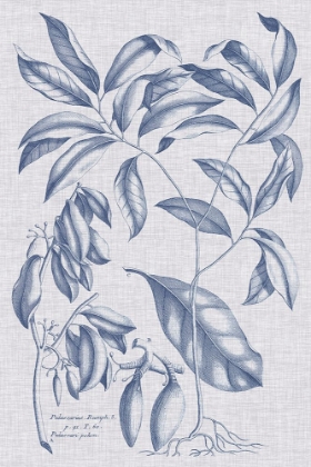Picture of NAVY AND LINEN BOTANICAL I