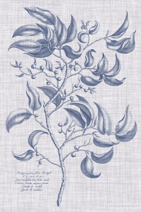 Picture of NAVY AND LINEN BOTANICAL III