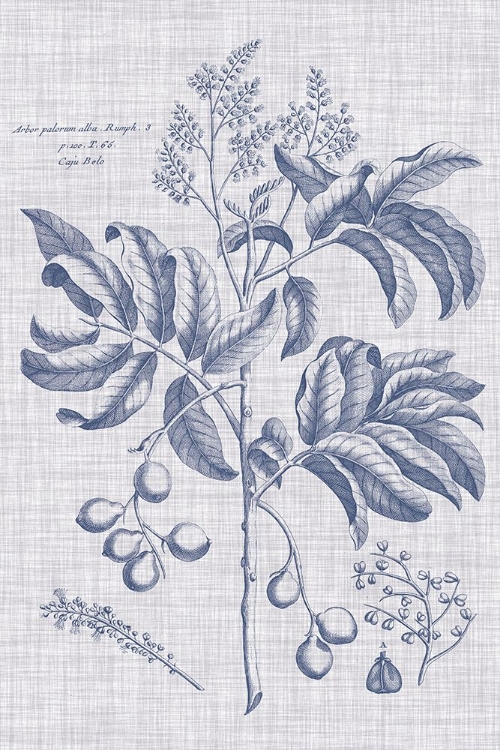 Picture of NAVY AND LINEN BOTANICAL IV