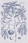 Picture of NAVY AND LINEN BOTANICAL V
