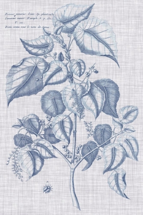 Picture of NAVY AND LINEN BOTANICAL VI