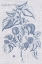 Picture of NAVY AND LINEN BOTANICAL VI
