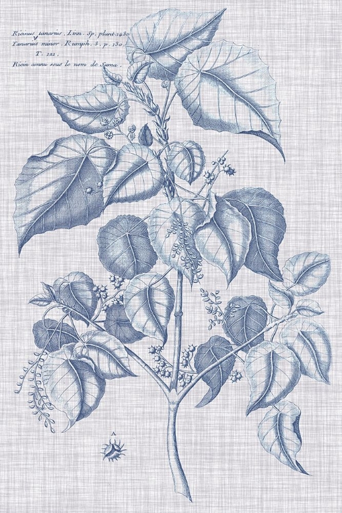 Picture of NAVY AND LINEN BOTANICAL VI
