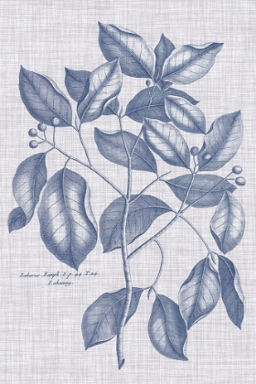 Picture of NAVY AND LINEN BOTANICAL VII