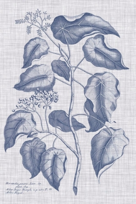 Picture of NAVY AND LINEN BOTANICAL VIII
