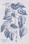 Picture of NAVY AND LINEN BOTANICAL VIII