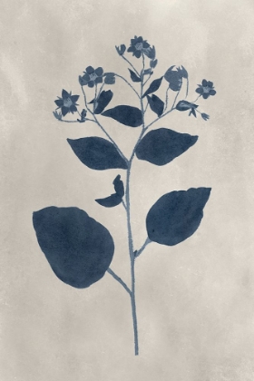 Picture of NAVY PRESSED FLOWERS III