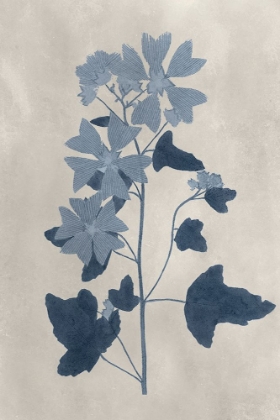 Picture of NAVY PRESSED FLOWERS VII