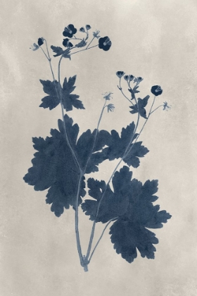 Picture of NAVY PRESSED FLOWERS VIII