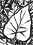 Picture of SUMI GARDEN IV