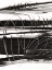 Picture of WRITE ON THE LINE II