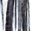 Picture of SCRIBBLE BIRCHES I