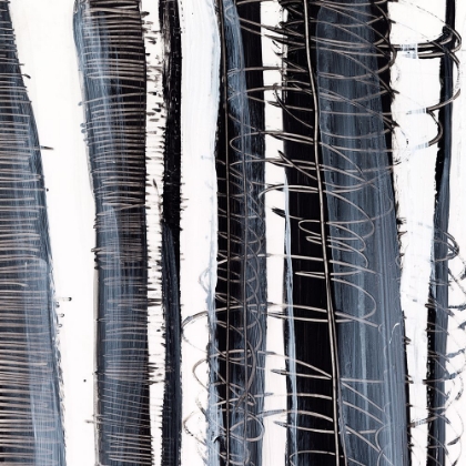 Picture of SCRIBBLE BIRCHES II