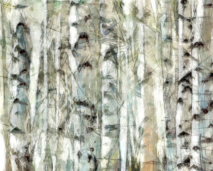 Picture of BIRCH BUNCH I