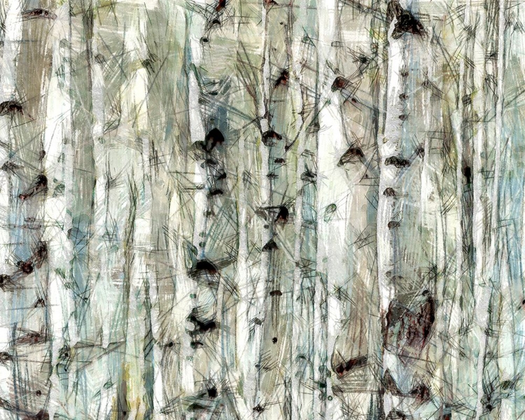 Picture of BIRCH BUNCH II