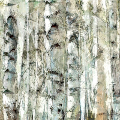 Picture of BIRCH BUNCH III