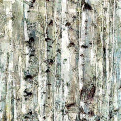 Picture of BIRCH BUNCH IV