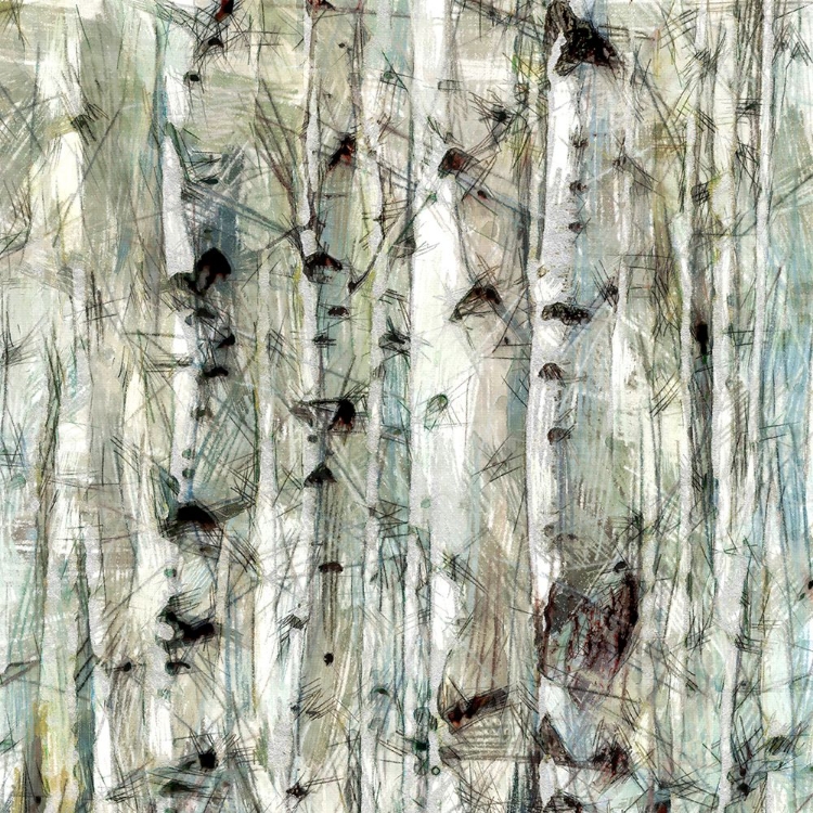 Picture of BIRCH BUNCH IV