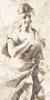 Picture of CLASSICAL STUDY V