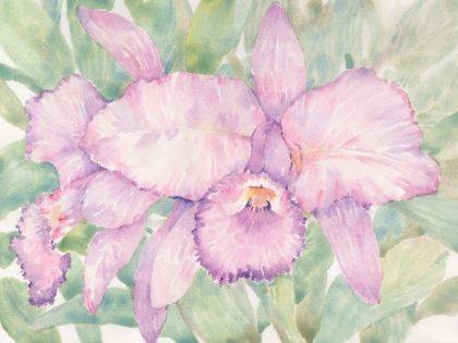 Picture of TROPICAL ORCHID WATERCOLOR II