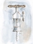 Picture of CORKSCREW VARIETY IV