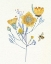 Picture of HONEY BEES VI