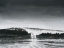 Picture of BLACK AND WHITE WAVES I