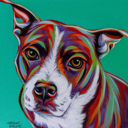 Picture of KALEIDOSCOPE DOG I