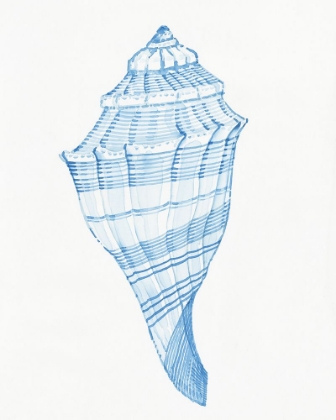 Picture of BLUE SHELL II