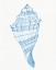 Picture of BLUE SHELL II