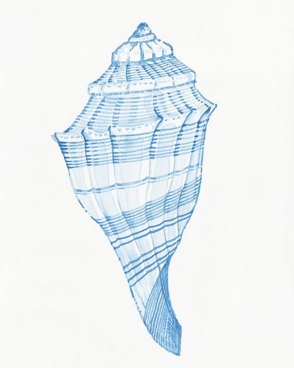 Picture of BLUE SHELL II