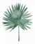 Picture of INDOOR PLANT PRESS I