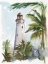 Picture of TROPICAL LIGHTHOUSE II