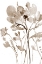 Picture of NEUTRAL FLORAL OVERLAY I