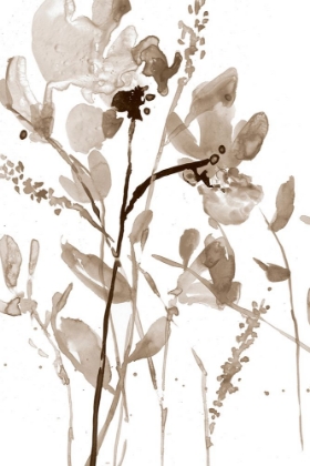 Picture of NEUTRAL FLORAL OVERLAY II