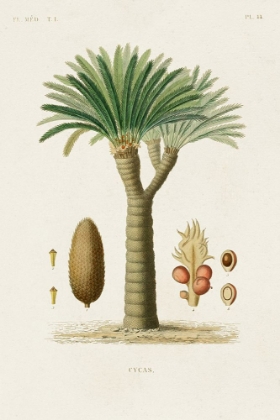 Picture of ANTIQUE TREE WITH FRUIT V