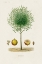 Picture of ANTIQUE TREE WITH FRUIT VII