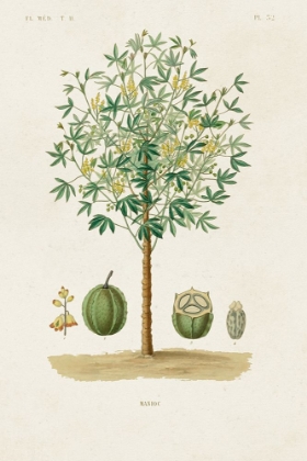 Picture of ANTIQUE TREE WITH FRUIT VIII