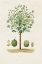 Picture of ANTIQUE TREE WITH FRUIT VIII