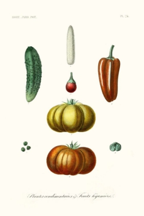 Picture of FRUIT AND VEGETABLE VARIETIES III